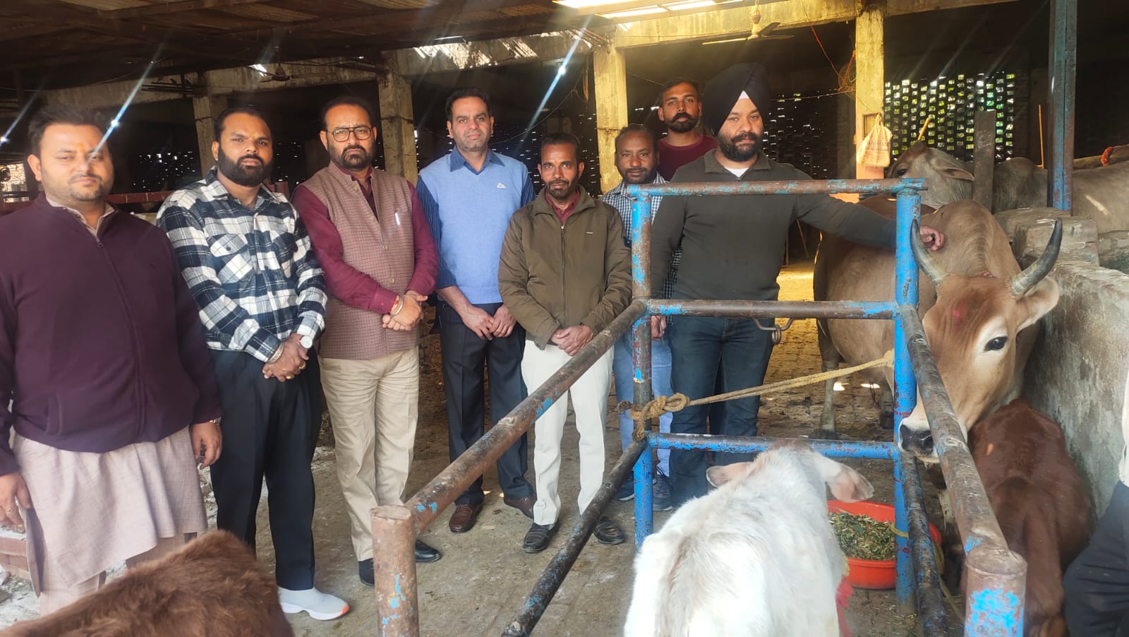 ਪਸ਼ੂ ਪਾਲਣ ਵਿਭਾਗ ਵੱਲੋਂ ਅੰਬਿਕਾ ਦੇਵੀ ਗਊਸ਼ਾਲਾ ਵਿਖੇ ਲੰਪੀ ਸਕੀਨ ਬਿਮਾਰੀ ਦੇ ਬਚਾਓ ਲਈ ਟੀਕੇ ਲਗਾਏ ਗਏ